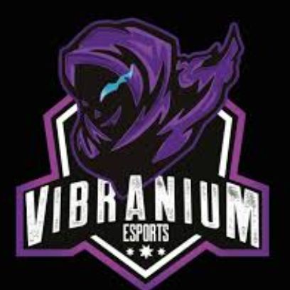 Vibranium Esports