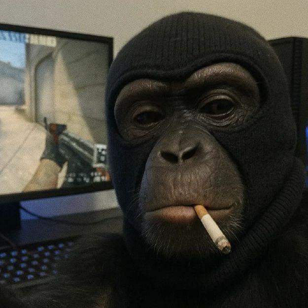 ebl0nsk1 avatar