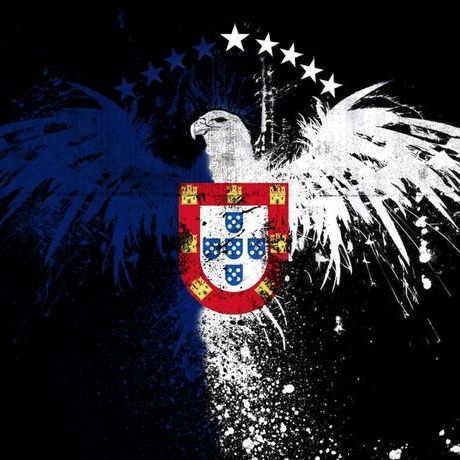 afonsinho191