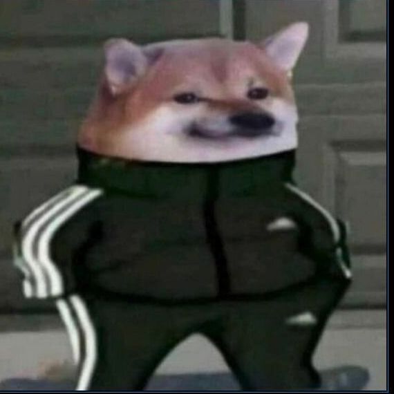 3_steban