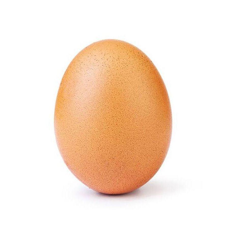 ArtueEgg avatar