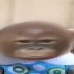 piemankey