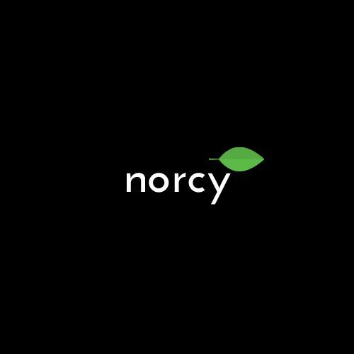 team_-norcy