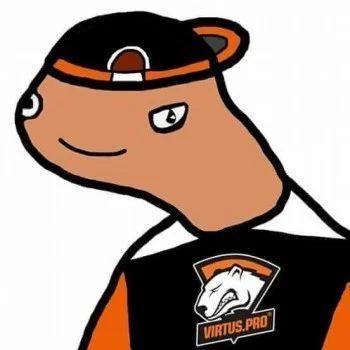 Zielonnny avatar