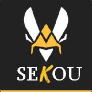 Player SEK0U_ avatar