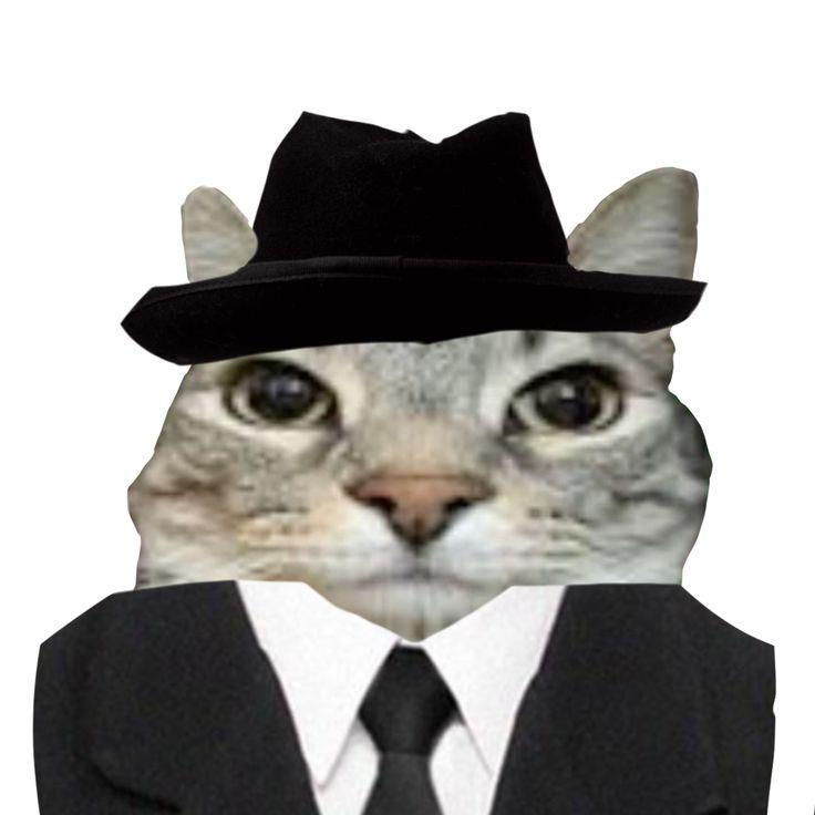 N1ghtmxrE avatar