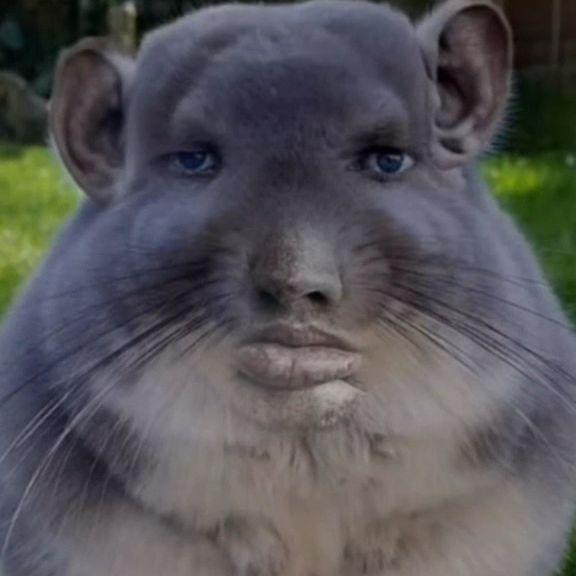 L1pt0n228 avatar