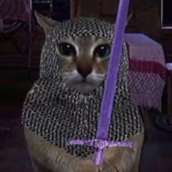 senkyy228
