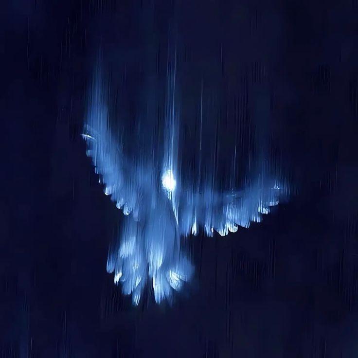 Airstap- avatar