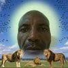 sqrwydziad avatar