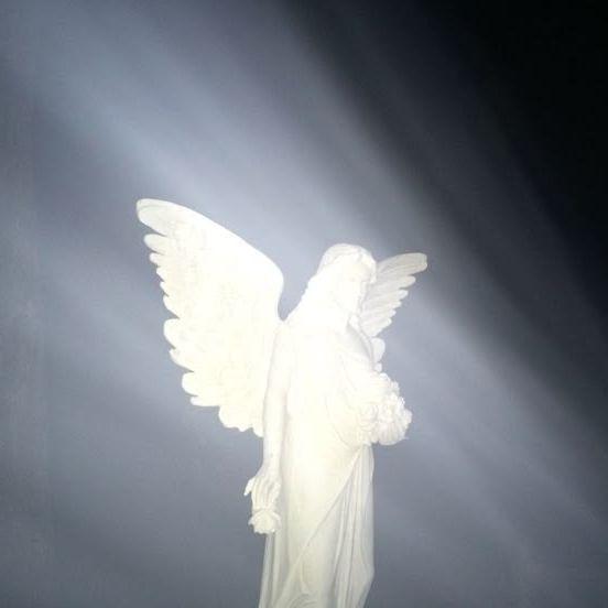 okno666 avatar