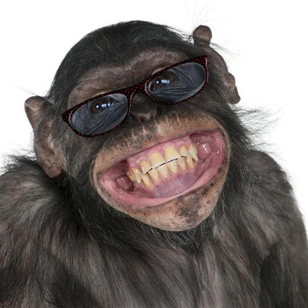 gravityzbs avatar