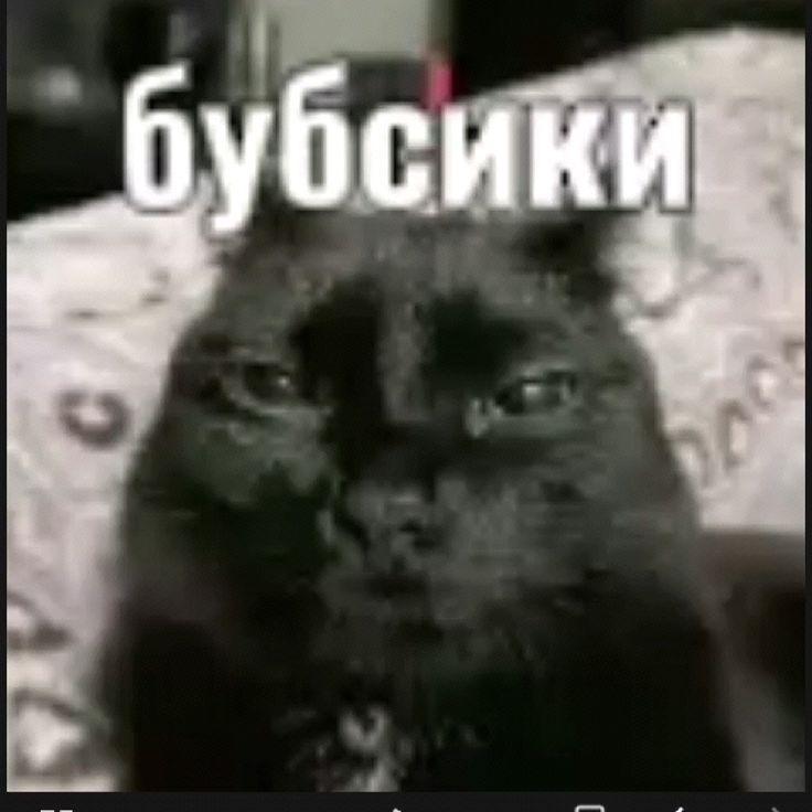 ty0ma1488 avatar