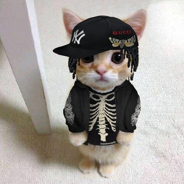 Synaa avatar