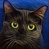 Faceit Avatar