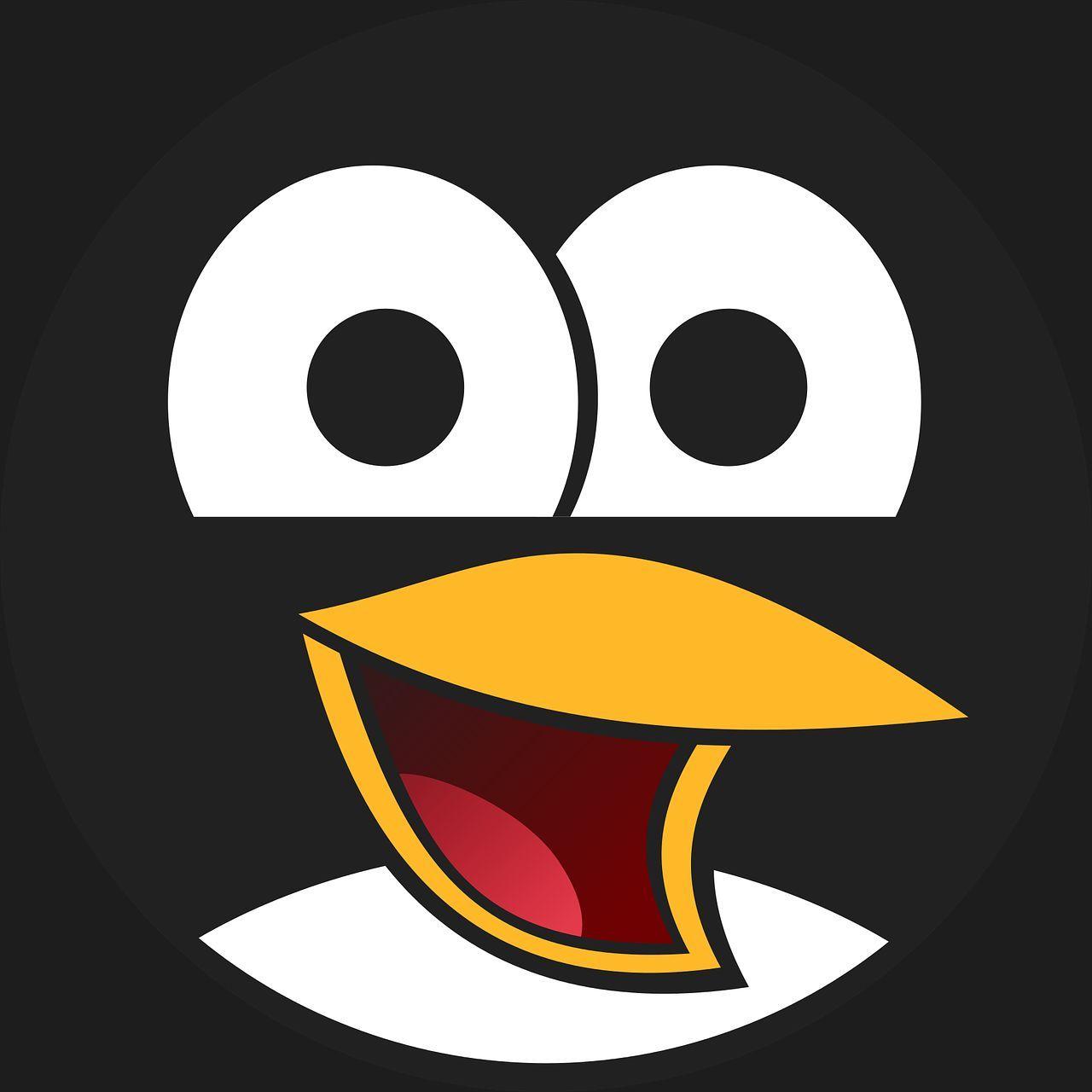 ppppppong avatar