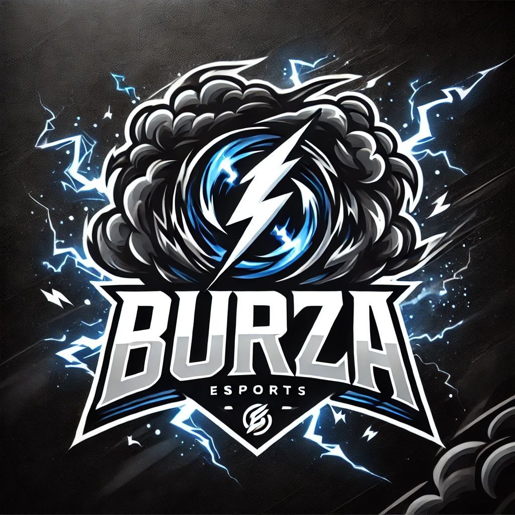 Team Burza FR