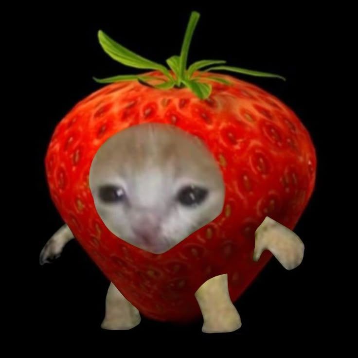 kLuBniKa27