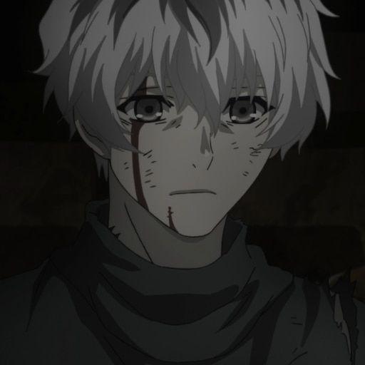 mipol213 avatar