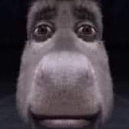 Dollycan avatar