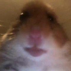Demonhype avatar