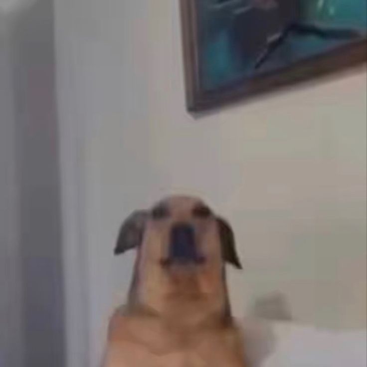 qweqeefax