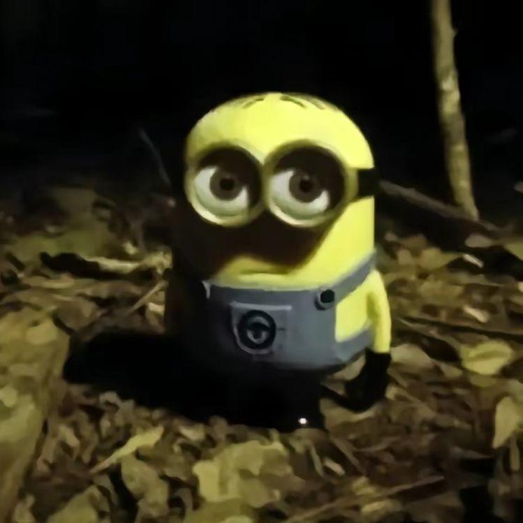 Dismora1_ avatar