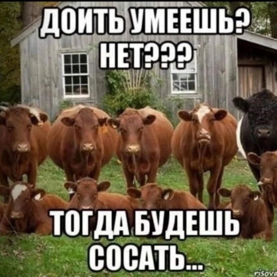 team_RevoltZ1337