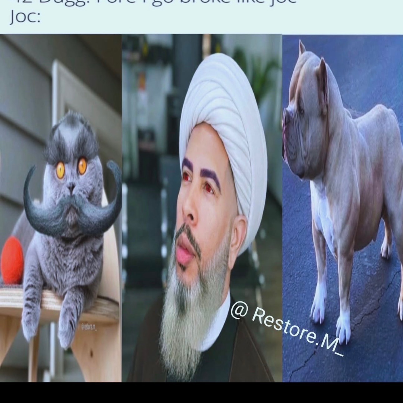 dyln
