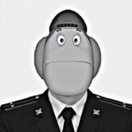BVMYRKA1 avatar
