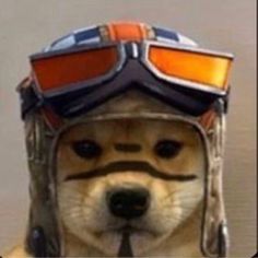 Faceit Avatar