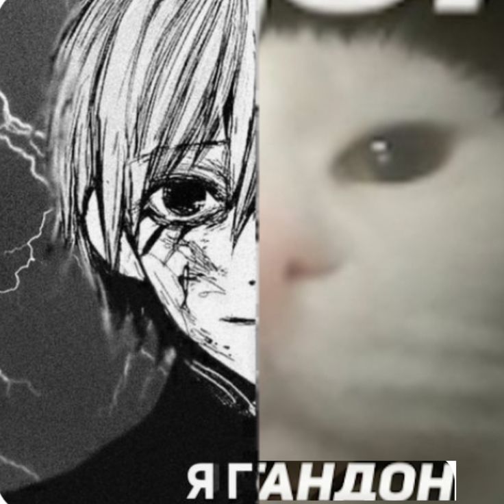 yb1_y_dok