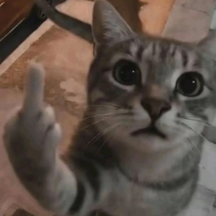 peKKKKKK