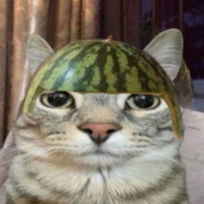 Jakubato avatar