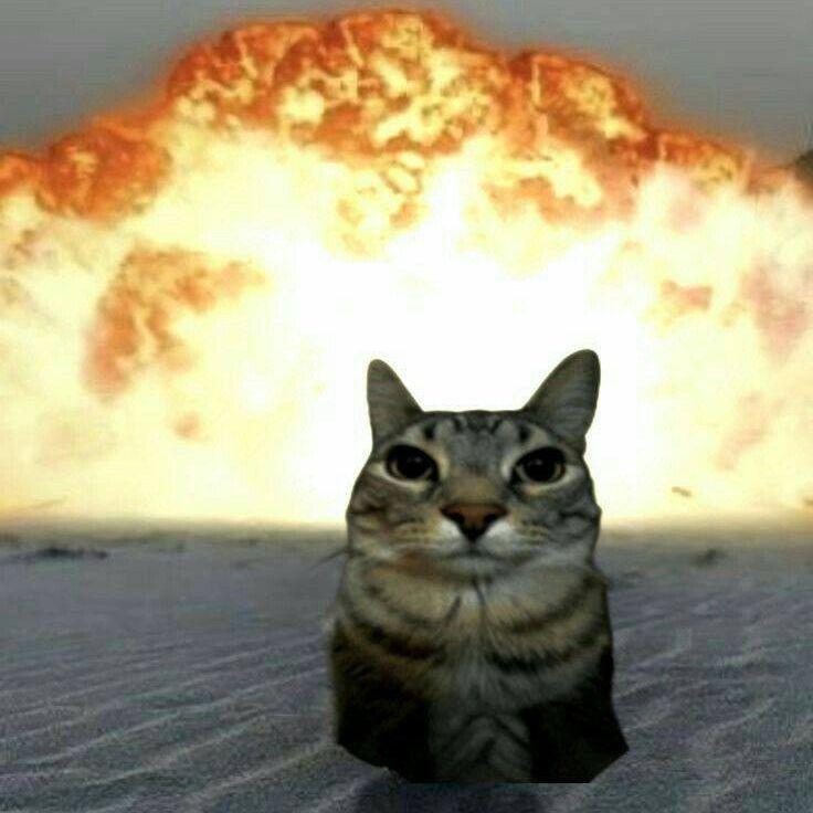 daysukevrot avatar