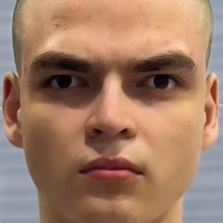 Faceit avatar