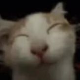 Satchmo FACEIT avatar
