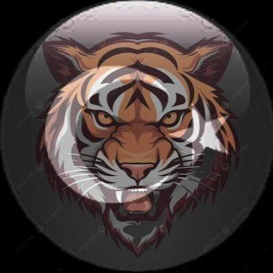 C-tek avatar
