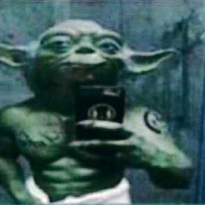 AMFIDE3 avatar