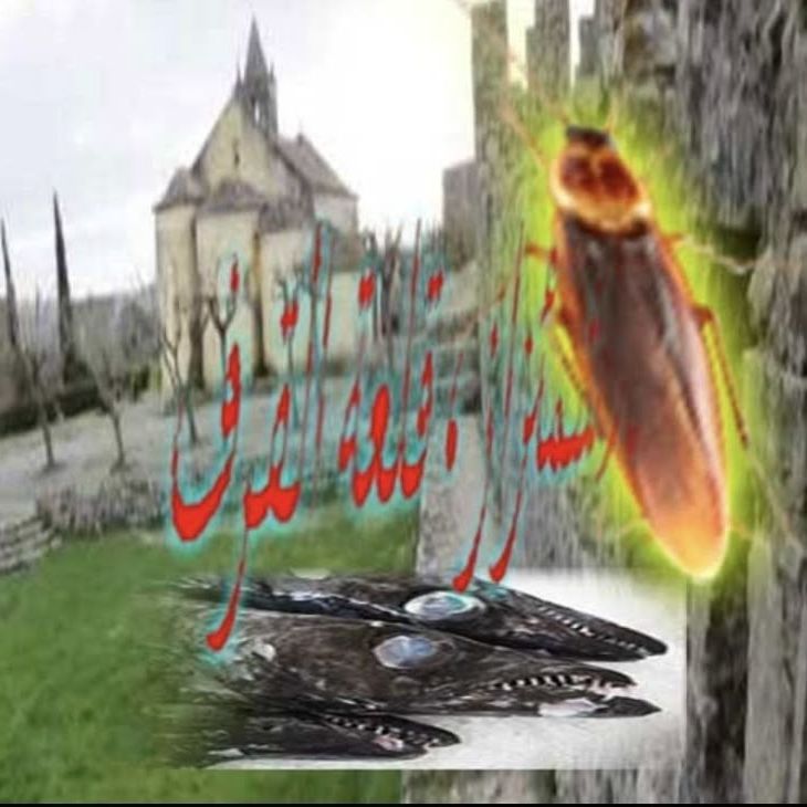 VAP