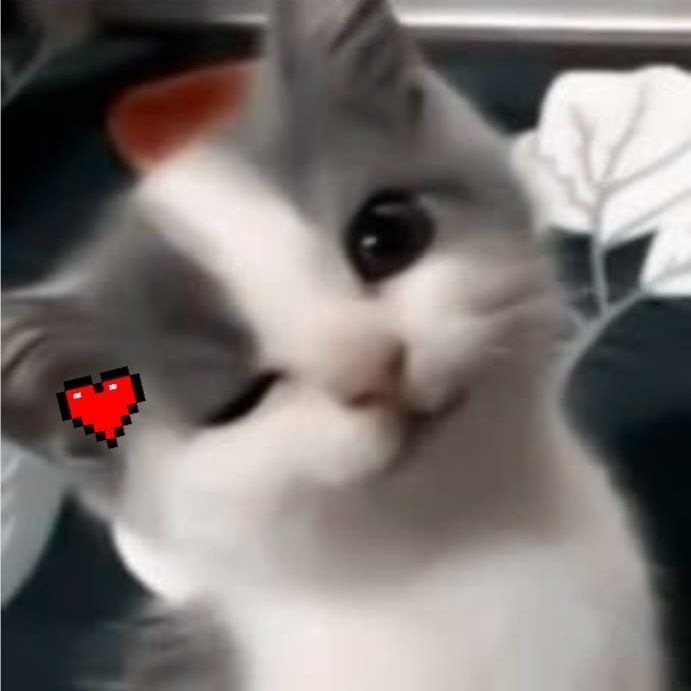 ptooq