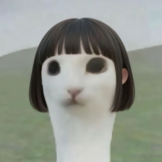 catcookie