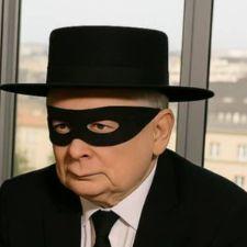 tomekat avatar