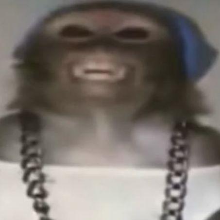 xVASx avatar