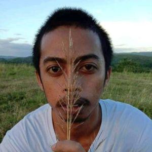 zenonZ1 avatar