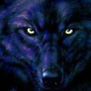Player WolfHL avatar