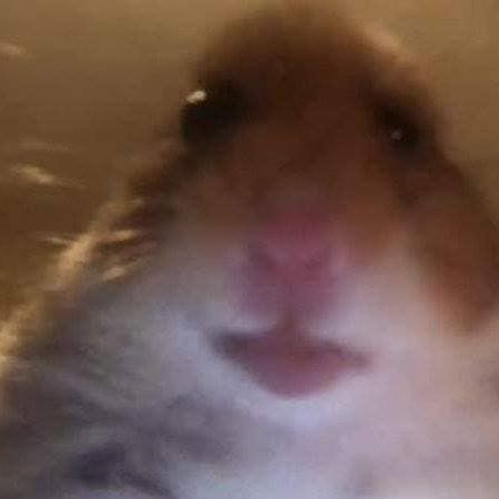 Me0wNESY