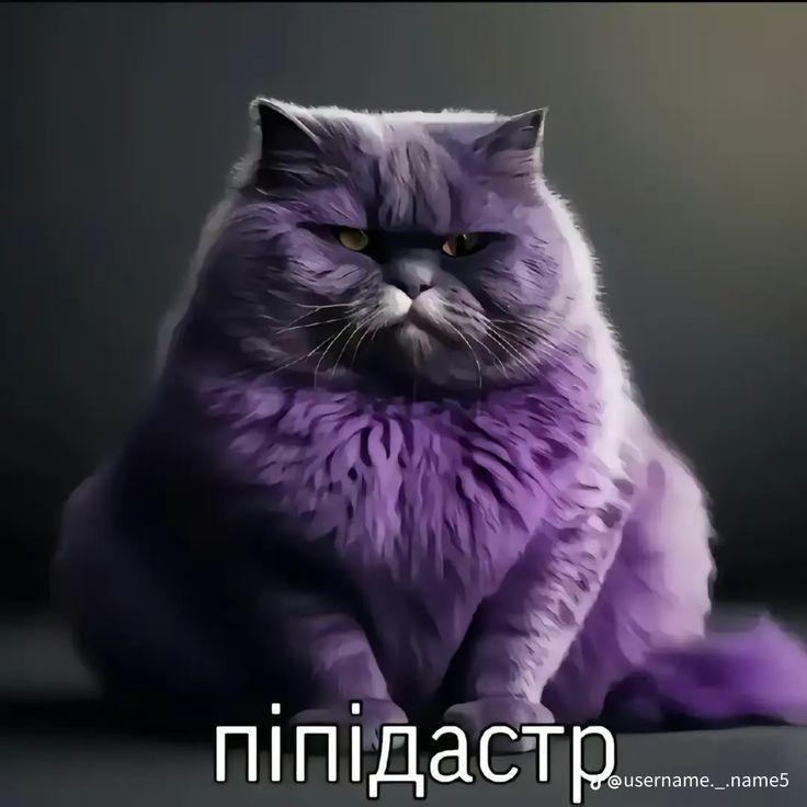 Yangusss avatar