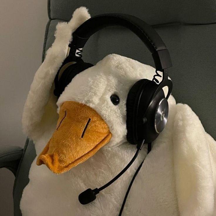 m0ntebtw avatar