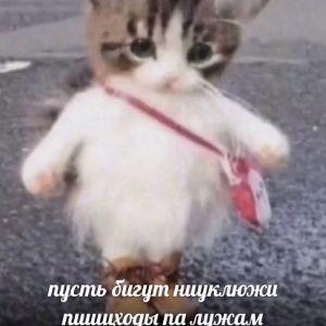Einstory